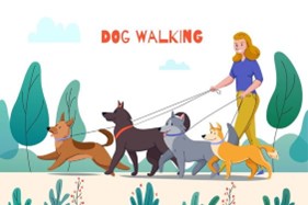 Köpeğinizle Keyifli Bir Yürüyüş İçin